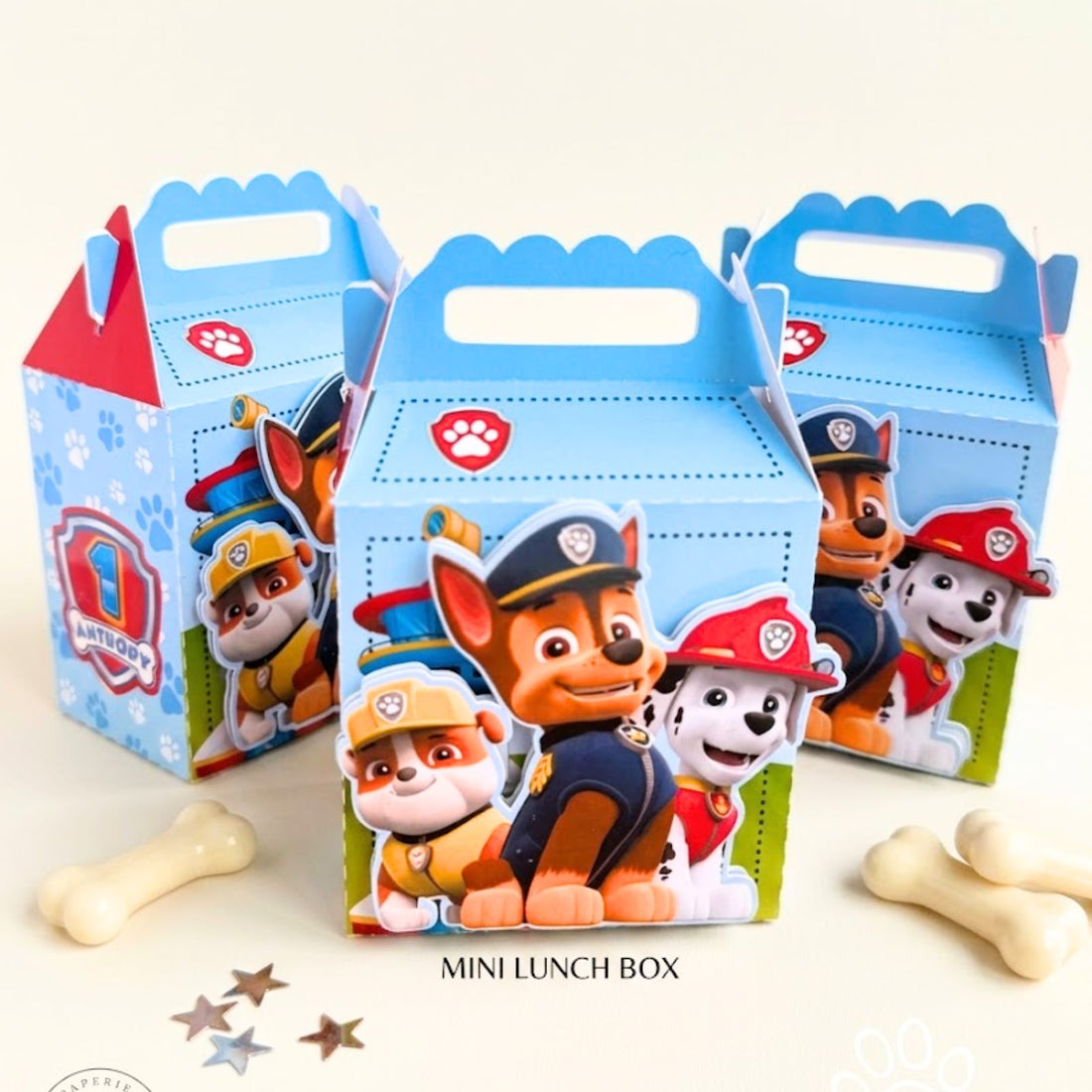 Bluey mini lunch  box party favor personalized for birthday celebrations